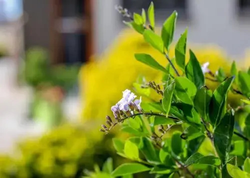 Riverview Villa Self Catering