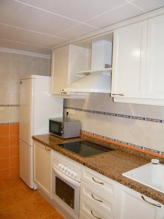 Apartamentos Milenio