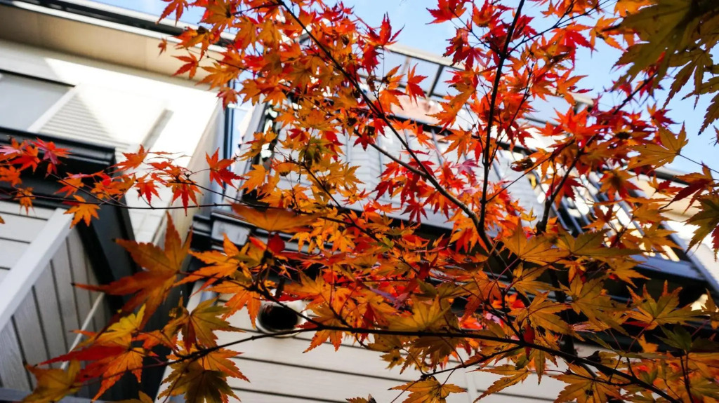 Hotel Yori Toya / Vacation STAY 24393
