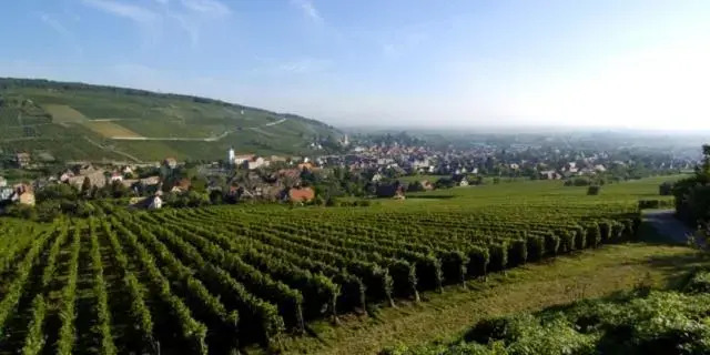 Terrasses du Zimmerberg