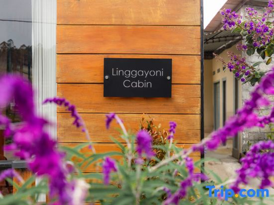 Linggayoni Cabin Dieng
