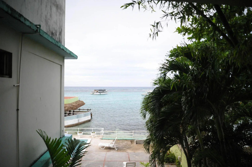 Ocean Palms