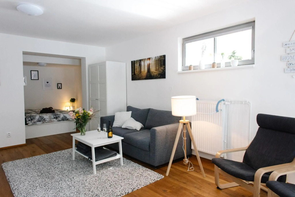 Apartmán s nádherným výhledem v centru Harrachova