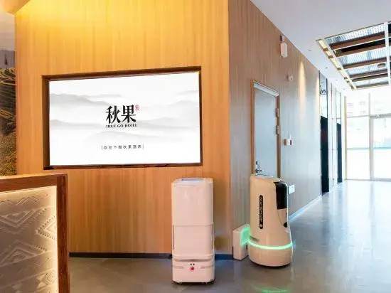TRUE GO Hotel (Zibo Wanda Plaza Qishenghu Park)