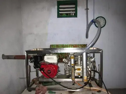 Raja Laut Bunaken