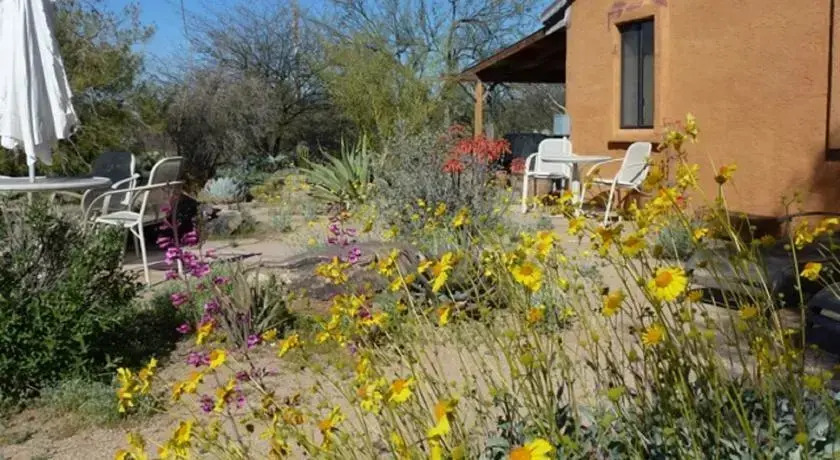 Oro Valley Desert Casita Retreat