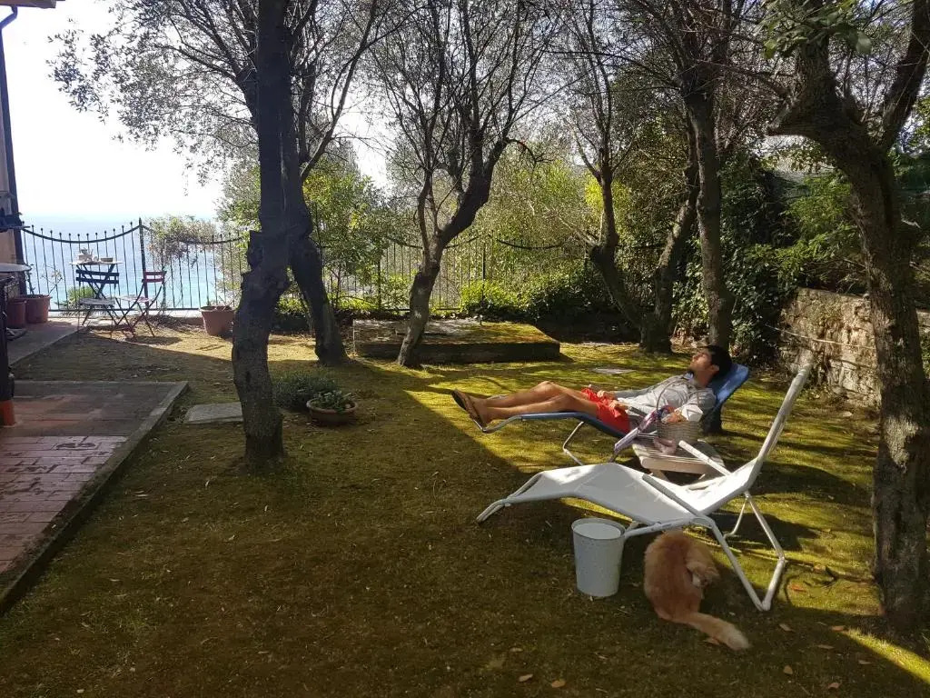 La Camera Tra Gli Ulivi Dream Finale