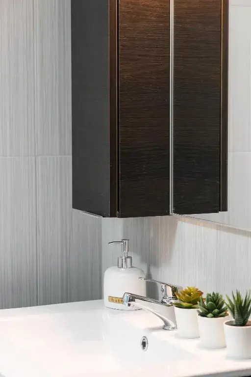 luxury apartment 65m2 downtown