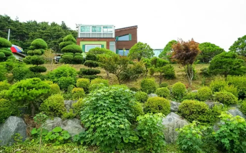 Yangyang Sky Garden Pension