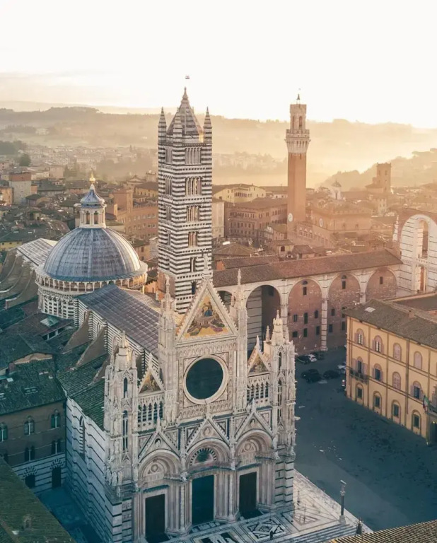 Blossoms of Siena
