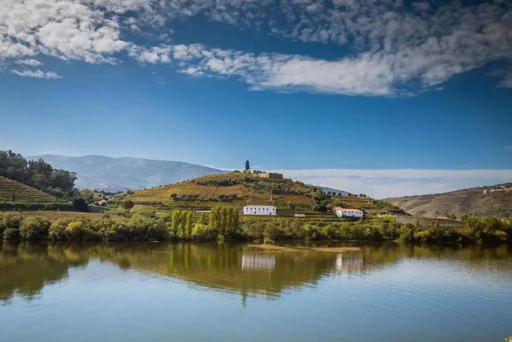 Hotel Regua Douro