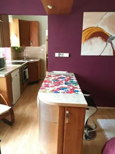 Apartment Sova
