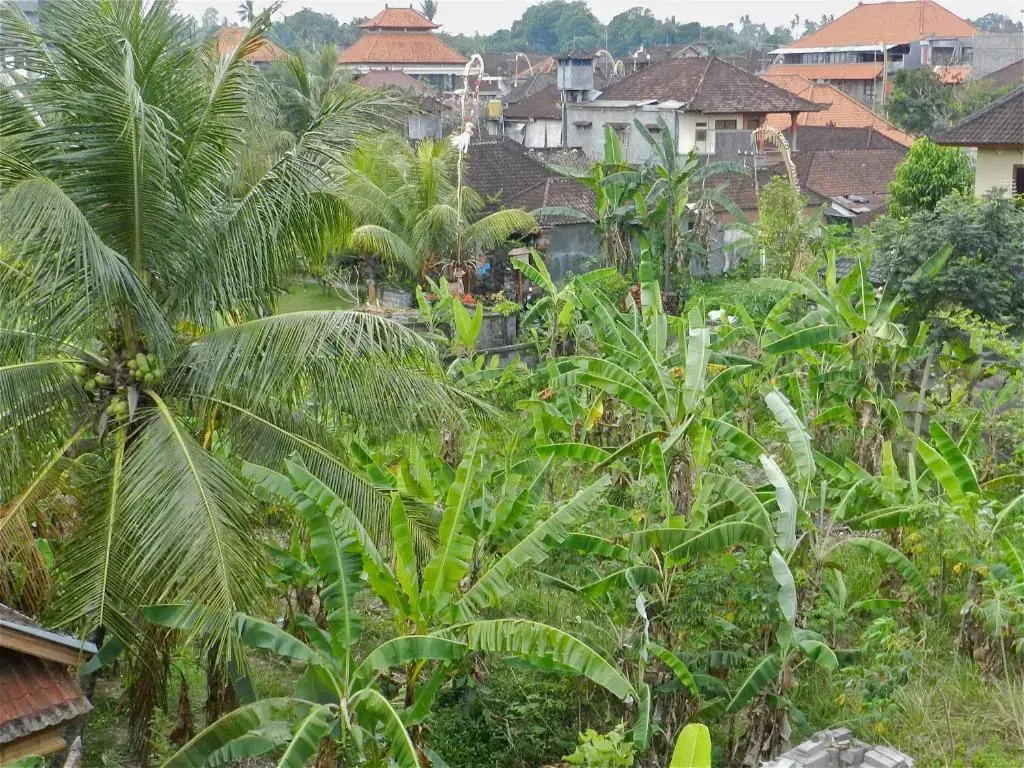 Kori Bali Inn I