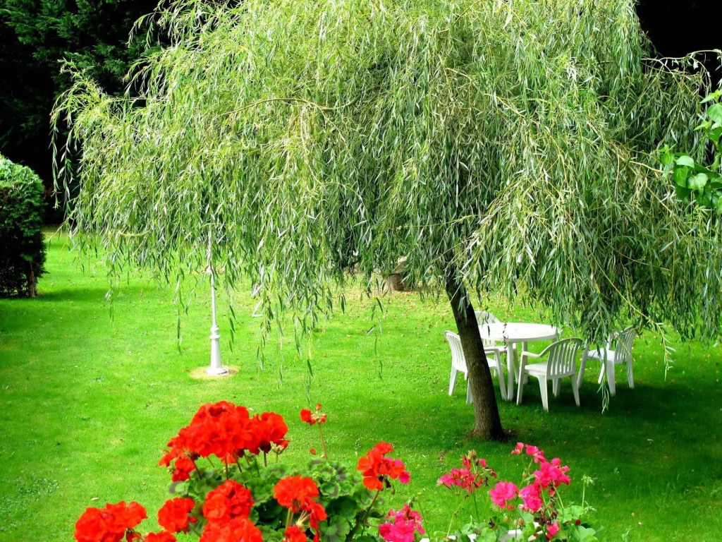 Logis Hôtel Deshors-Foujanet