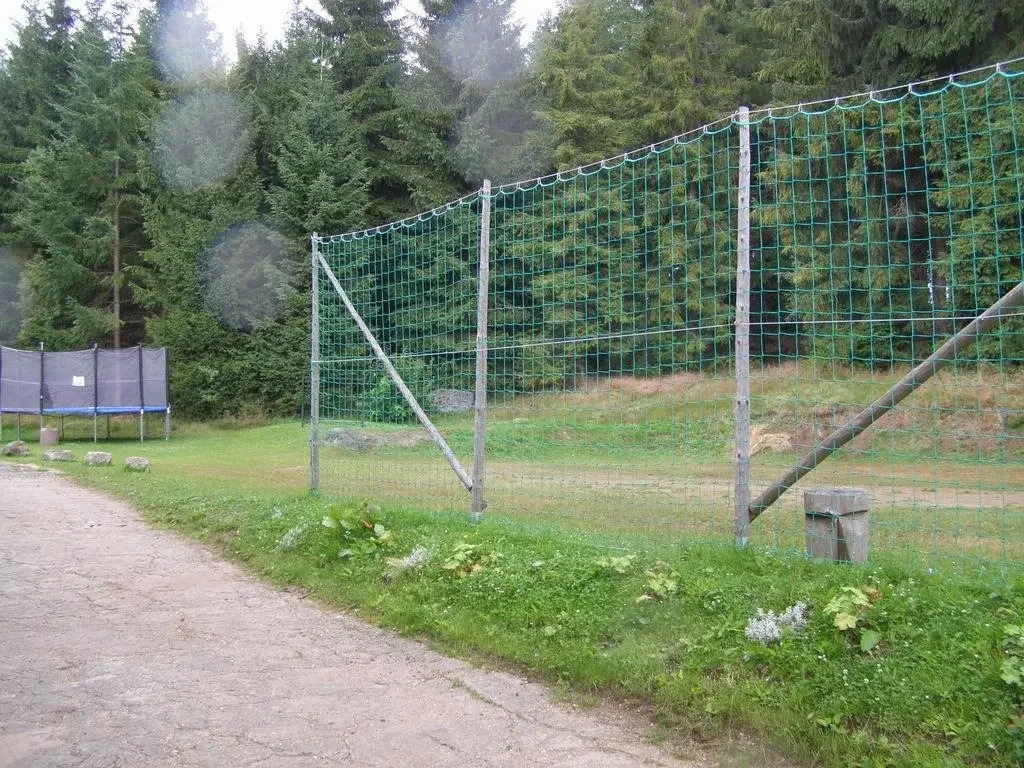 Penzion Borovice