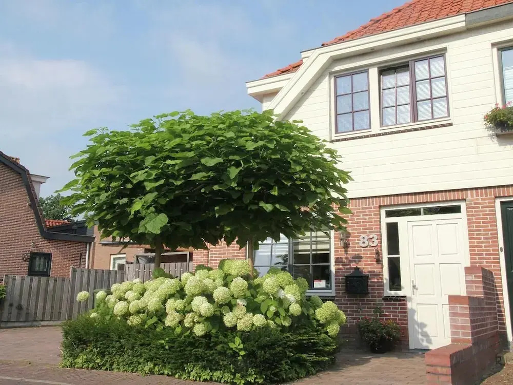 Thuis In Heiloo