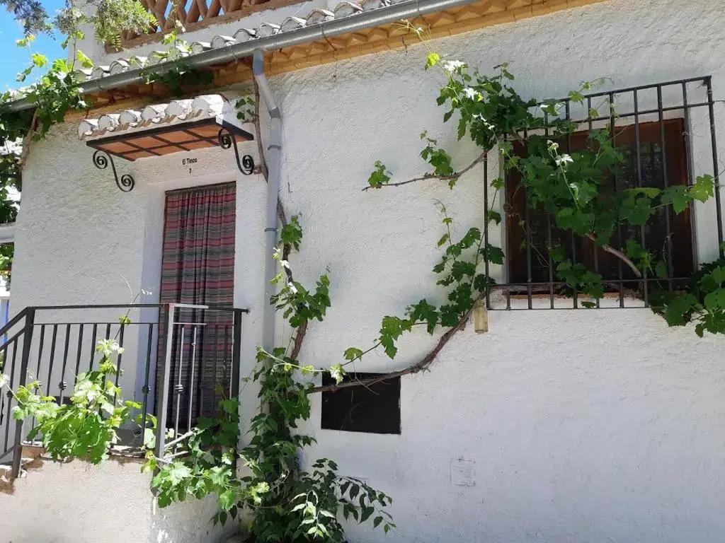 Cortijo Balzain