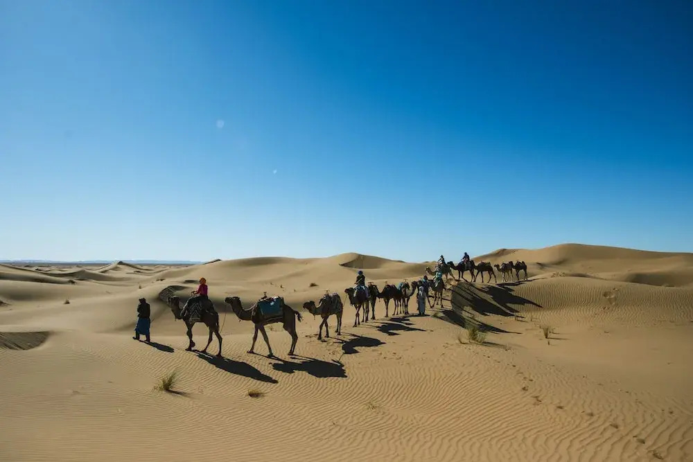 Bivouac les nomades foum zguid