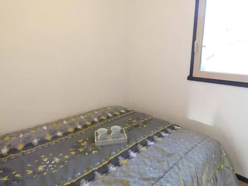 Appartement Vielle-Aure, 2 pièces, 4 personnes - FR-1-457-273