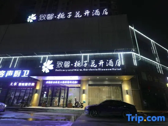 Delicacy and Warm·Gardenia Blossom Hotel