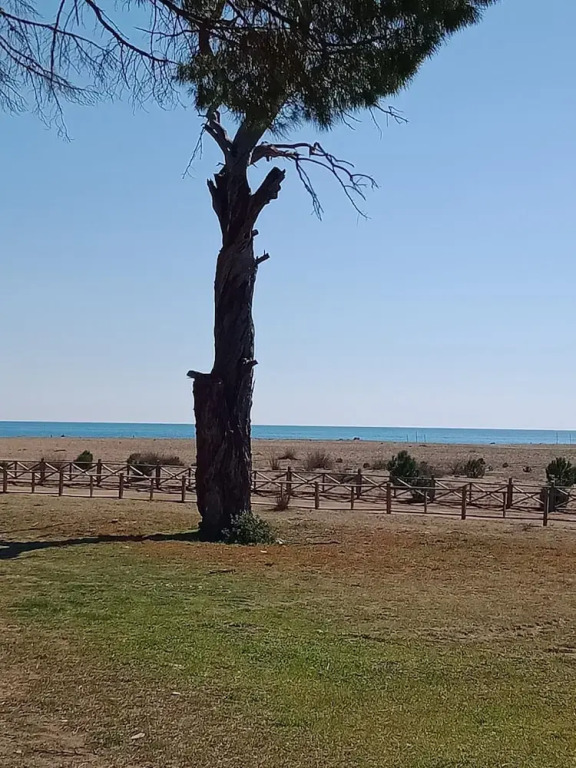 Çirali Campi̇ng