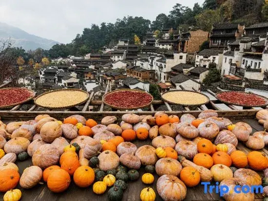 Wuyuan · Tranquil Time: Day Coffee & Night Wine Vacation Guesthouse