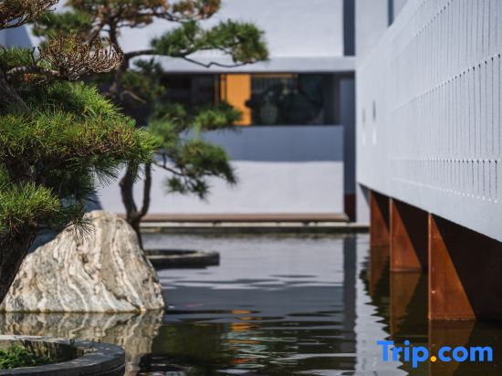 Purple House Koi Pond Courtyard Guesthouse