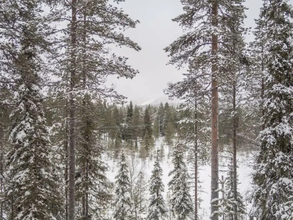 Saukkokumpu 3