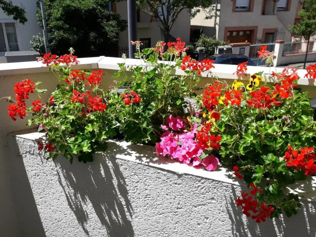 :) Grand studio lumineux à Toulouse et parking