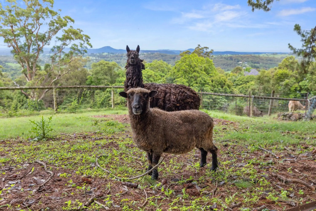 Serendipity Farm