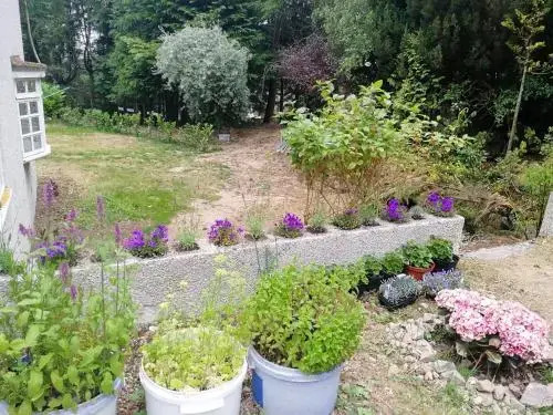 Robinhill Garden