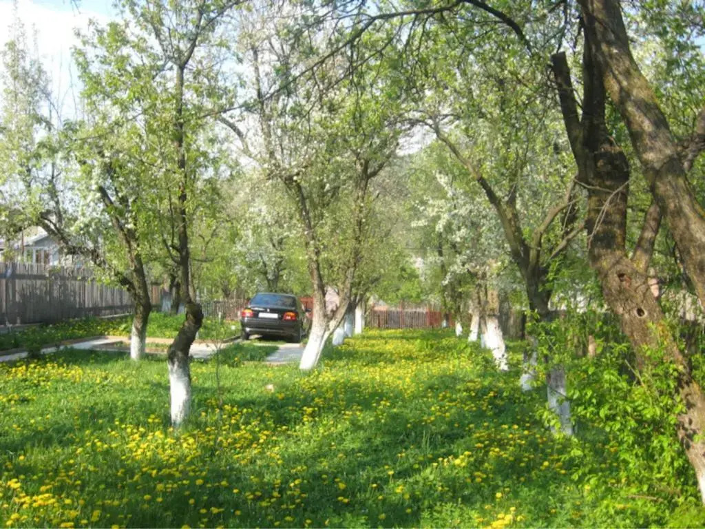 Casa Sabina