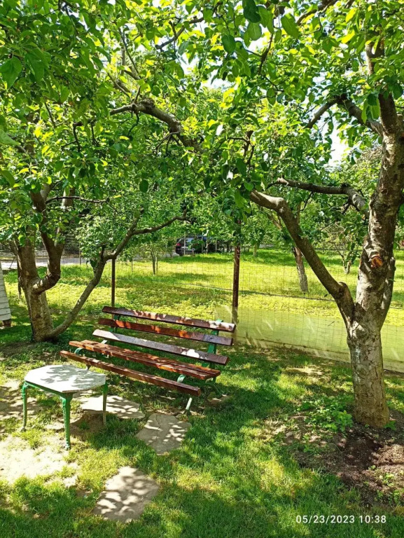 Vila Slănic family boutique hotel by DiaDOR rentals