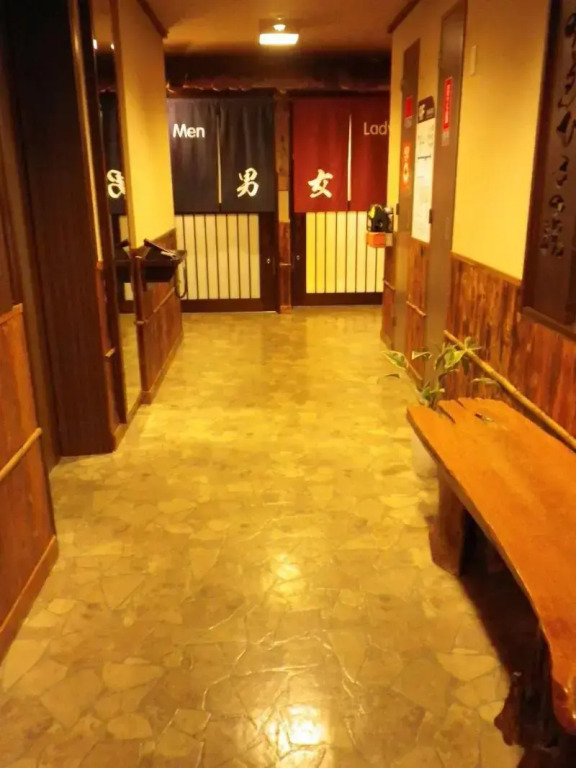 Dormy Inn Akihabara