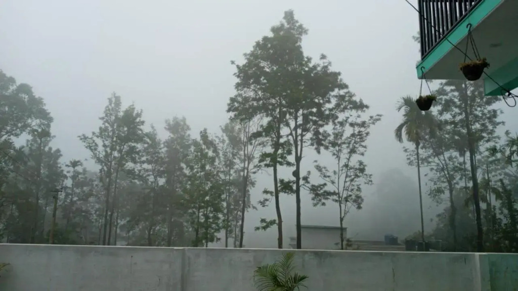 Wayanad Snow Vibes