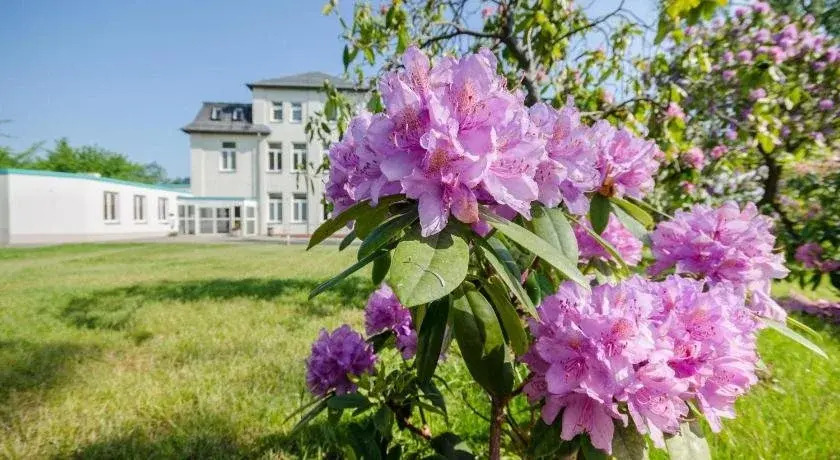 Hotel Siegmar im Geschäftshaus