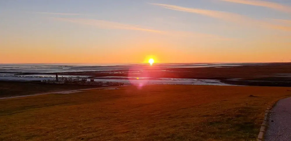 Deichhus Nordseeliebe direkt am Deich - Nordsee - Dagebüll - Am Vogelreservat