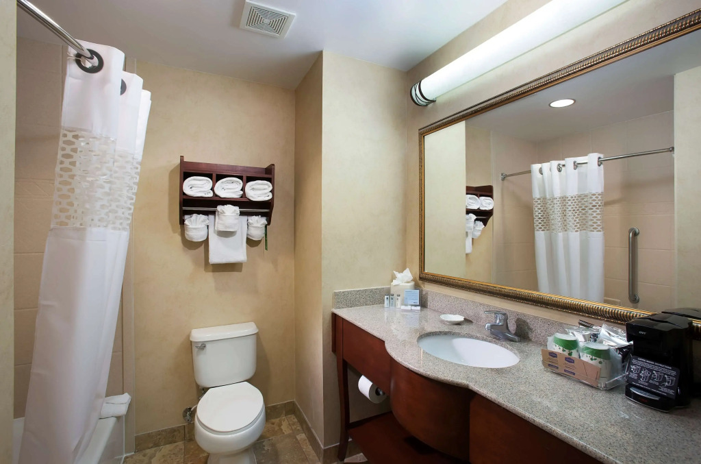 Hampton Inn Lake Buena Vista / Orlando