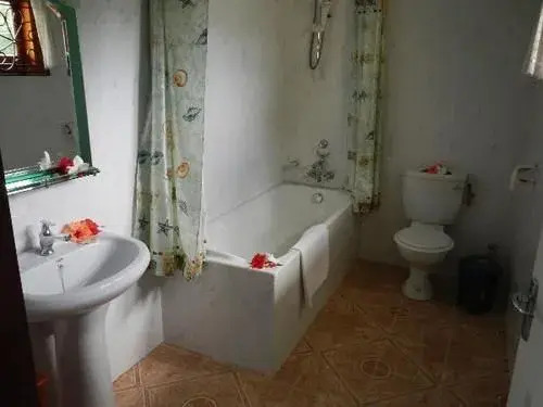 Villa Cocotier Guest House