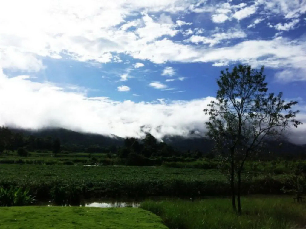 Yoma Hotel, Pai