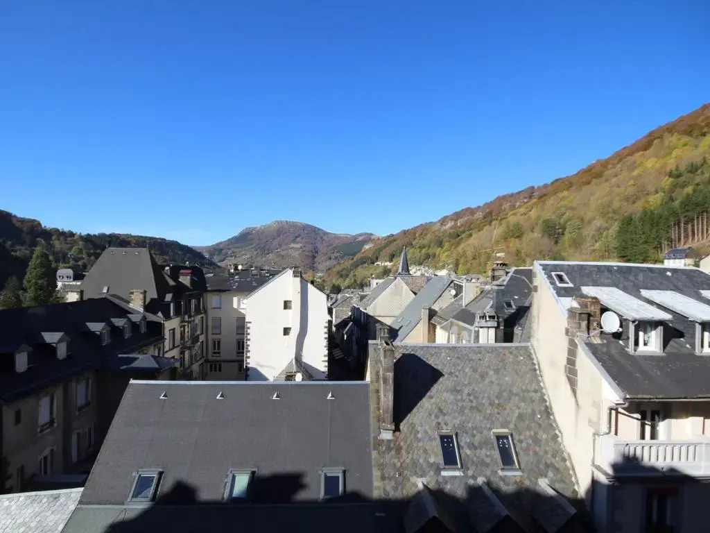 Appartement Mont-Dore, 1 pièce, 2 personnes - FR-1-608-103