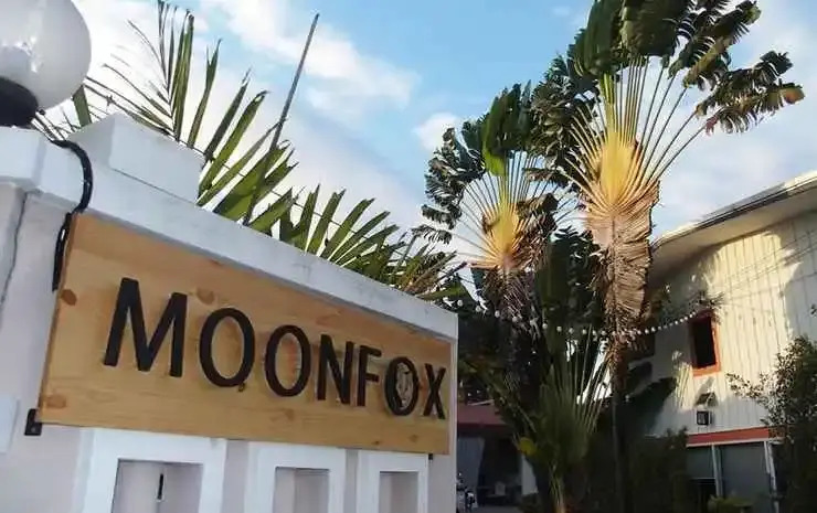 Moon Fox CaféInn Art & Gallery