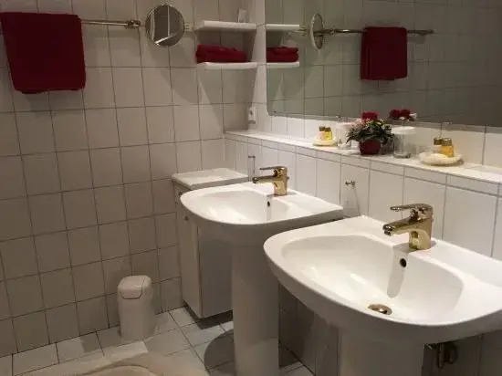 Hotel-Restaurant Der Schwan