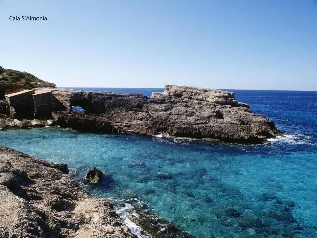 Puig de sa figuera