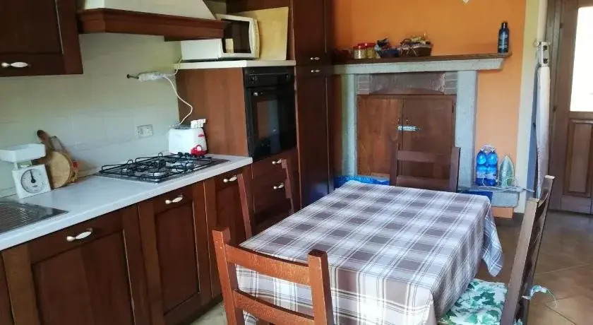 B&B Campino