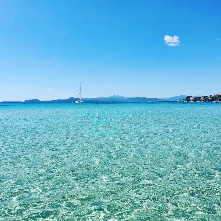 Appartamento delfini sul mare