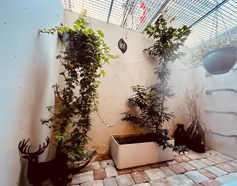 Hirschzimmer & Strandzimmer