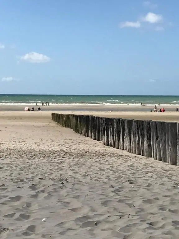 Logement cocooning 50 m de la plage