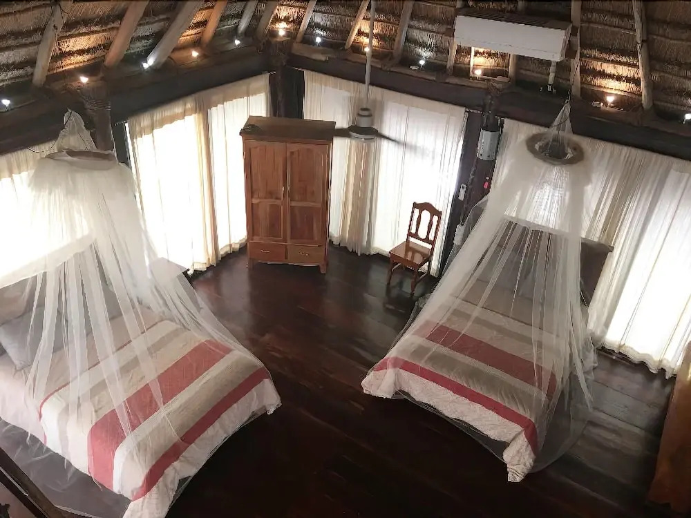 Rhincodon Typus Glamping