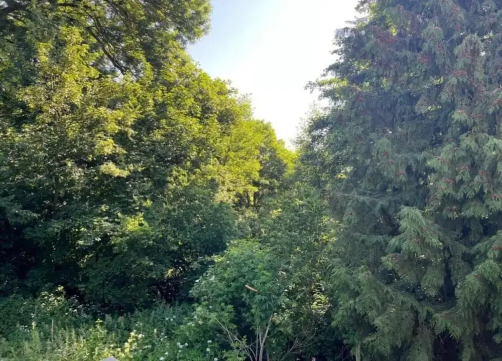 Escape Near River, Wolfsberg
